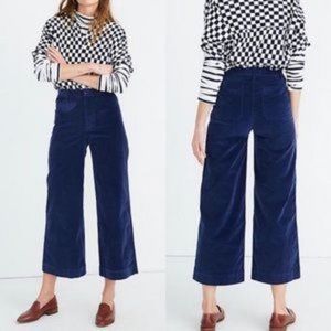 NWT Madewell Emmett Wide Crop Velveteen Pants 28P